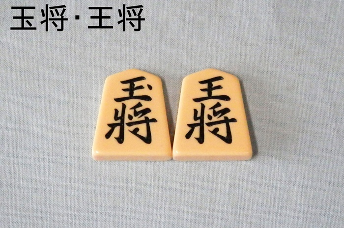 将棋駒 プラスチック将棋駒 歩心（ふしん） 裏黒